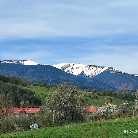 Privát Stelly Homestay szállás *